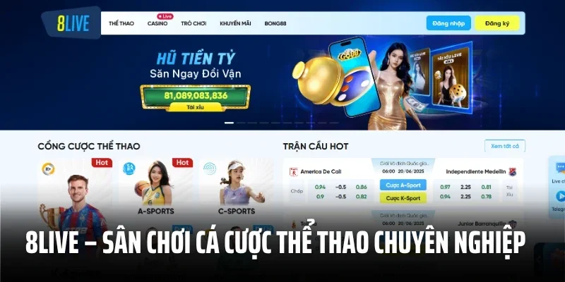 8live – Sân Chơi Cá Cược Thể Thao Chuyên Nghiệp Và Đáng Tin Cậy