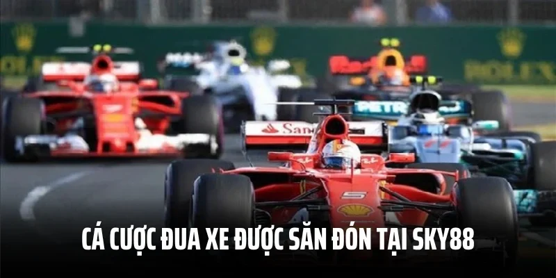 Cá cược đua xe được săn đón tại Sky88