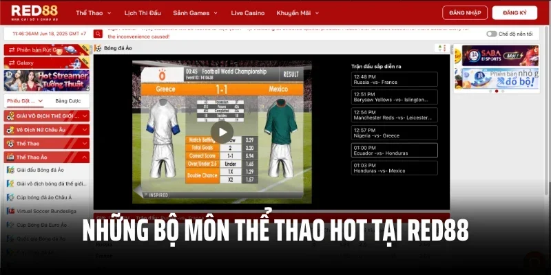 Những bộ môn thể thao hot tại Red88