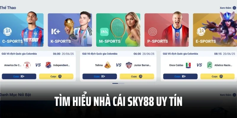 Tìm hiểu nhà cái Sky88 uy tín